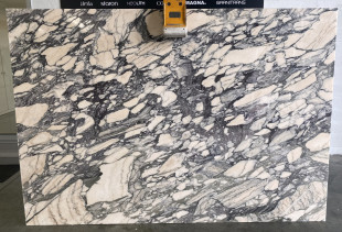 MARBLE ARABESCATO SPRING - 012642