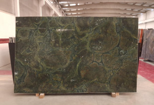 TEXTA VITORIA REGIA TEXTA VITORIA REGIA