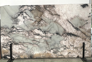 QUARTZITE BOTANIC CRYSTAL - 231117