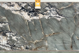 QUARTZITE BOTANIC CRYSTAL