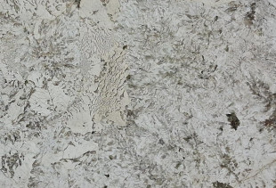 GRANITO ALPINUS PATAGONIA