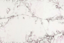 QUARTZ COMPAC ICE VIOLA